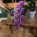 Ann Neal - Facebook