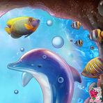 Anna Neault - Facebook