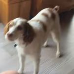 anna - @anna.nebel - Instagram