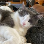 Anne Nebel - Facebook