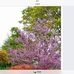 Ann Needham - Facebook