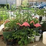 Carol Ann Neeley Kilgore - @carolannneeley - Instagram