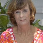 Ann Neely Bush - @theabeester - Instagram