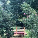 Ann Marie Nembhard - @happyheartsenterprise - Instagram