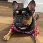 Ann Nemec - @gagirl123 - Instagram