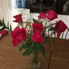 Mary Ann Nemec - @maryann08154 - TikTok
