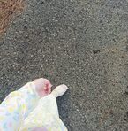 Ann Ness - Facebook