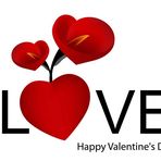 Ann Ness Bania - Facebook