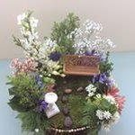 Ann Nevin - @ajinevin - Instagram
