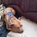 Ann Newell - Facebook