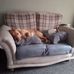 Ann Newell - Facebook