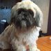 Ann Newland - Facebook