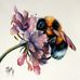 Anne Newstead - Facebook