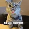 Annette Newstead - @annettenewstead - TikTok
