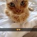 Annie Nickerson - Facebook