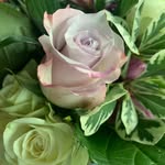 Jo-Ann Nickerson - @joannd62 - Instagram