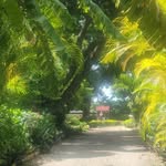 Sharon Ann Nickerson Rn - @sana_eljardinsecerto - Instagram