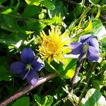 Ann Nicks - @ann_nicks_photography - Instagram