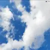 nancyannnile - @nancyannnile - TikTok