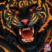 Ann Niles - Facebook