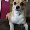 Ann Nim - @annnim2 - TikTok