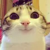 Ann Knipper - @annknipper9923 - TikTok