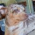 Ann Nipper - Facebook