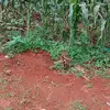 Ann Njeru - @ann.njeru0 - TikTok