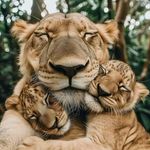 Ann Njeru - @sheerih_njeru - Instagram