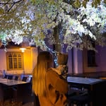 Anna-Lena Noack - @annalena.noack - Instagram