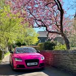 Ann Norton - @pink_tt_50 - Instagram
