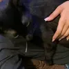 Ann.Norton - @wbrauhhrv87 - TikTok