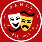 Betty Ann Norton Theatre School and Agency - @bants.ie - Instagram