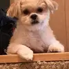 ruby - @annnunn5 - TikTok