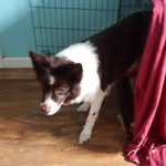 Ann Parkinson - @ann_parkinson_ - Instagram