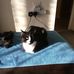 Ann Parkinson - Facebook