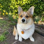 Ann Parsons - @ann90266 - Instagram