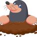 Ann Parsons - Facebook