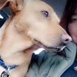 Ann Partridge - @annpartridge652 - Instagram