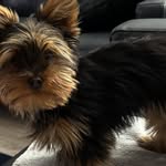 Ann Patrick MacIntyre - @annpatrickmacintyre - Instagram
