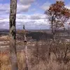 deeann Peck - @deeann.peck - TikTok