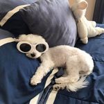 Roxann Peckham - @roxannpeckham - Instagram