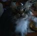 Ann Pettit - Facebook