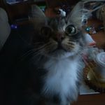 Ann Pettit - @ann.pettit.961 - Instagram