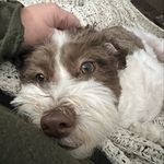 Ann Petty - @apetty13 - Instagram