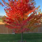 Ann Philbrook - Facebook