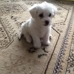 Ann Phillips - @ann.phillips.161446 - Instagram