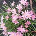 Ann Phillips - Facebook