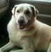 Ann Phillips - Facebook