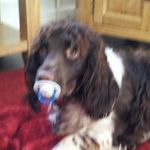 Ann Pickering - @ann_pickering - Instagram